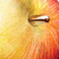 Pommes